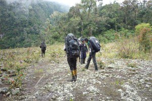 Tak Hanya Pantai, Aceh Juga Punya Gunung Kemiki yang Eksotis