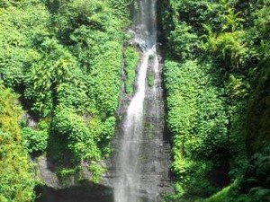 Tak Hanya Pantai, Bali Juga Punya Air Terjun Secantik Ini