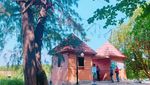Tak Jauh dari Jakarta, Ini Pulau Kecil & Hutan Mangrove Eksotis