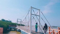 Berbagai jembatan unik di taman nasional ini.