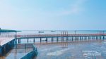 Tak Jauh dari Jakarta, Ini Pulau Kecil & Hutan Mangrove Eksotis