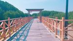Tak Jauh dari Jakarta, Ini Pulau Kecil & Hutan Mangrove Eksotis