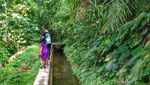 Tak Jauh Dari Semarang, Ada Air Terjun Cantik Nih