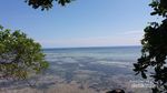 Tak Kalah dengan Bunaken, Perkenalkan Si Cantik dari Mamuju