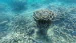 Tak Perlu Waktu Lama Liburan ke Pulau Tunda