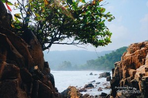 Tak Seseram Namanya, Ada Pantai Gigi Hiu di Lampung