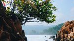 Tak Seseram Namanya, Ada Pantai Gigi Hiu di Lampung