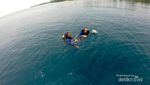 Takjub! Ini Dia Spot Diving Terbaik di Banten