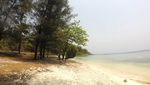 Takjub! Ini Dia Spot Diving Terbaik di Banten