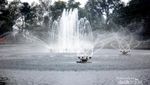 Taman Bunga di Thailand Ini Terinspirasi dari Bandung