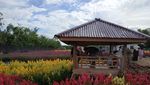 Taman Bunga Luar Negeri? No, Ini di Aceh