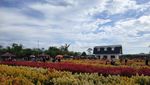 Taman Bunga Luar Negeri? No, Ini di Aceh