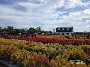 Taman Bunga Luar Negeri? No, Ini di Aceh
