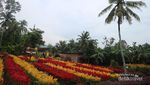 Taman Bunga Tersembungi di Klaten, Kamu Tahu?