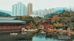 Taman Cantik di Tengah Hiruk Pikuk Hong Kong