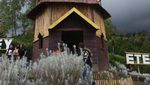Taman Edelweis yang Tidak Biasa di Bali