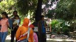 Taman Gesang Solo, Riwayatmu Kini