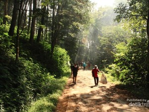 Taman Hutan Ir Djuanda, Tempat Hiking Asyik di Bandung
