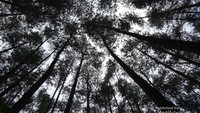 Pemandangan indah