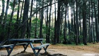 Taman Hutan Raya Juanda
