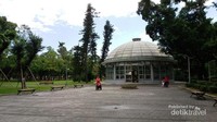 Botanical garden menyimpan koleksi berbagai jenis tanaman pemakan serangga
