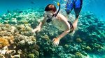 Taman Laut Pulau Payar, Surga Menyelam di Malaysia