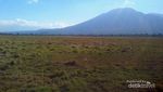 Taman Nasional Baluran, Afrika dari Jawa Timur