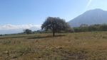 Taman Nasional Baluran, Afrika dari Jawa Timur