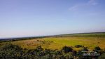 Taman Nasional Baluran, Situbondo Rasa Afrika