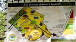 Taman Nasional Baluran, Situbondo Rasa Afrika