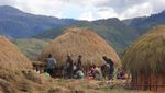 Taman Nasional Terluas Se-Asia Tenggara Ada di Papua