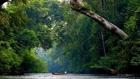 Sungai di tengah Taman Negara (hichinese.org)