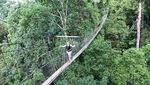 Taman Negara, Liburan Seru Ala Penjelajah Hutan di Malaysia