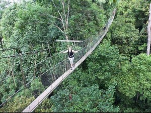 Taman Negara, Liburan Seru Ala Penjelajah Hutan di Malaysia