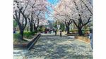 Taman Rekreasi Gratis di Korea Selatan