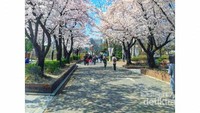 Taman cantik ini dapat di nikmati secara gratis. Hanya dengan duduk santai di bawah pohon, sambil menikmati bekal yang kita bawa, sudah menjadi liburan yang menyenangkan bukan.