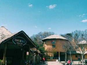 Taman Rekreasi Gratis di Korea Selatan