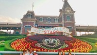 Tampak Belakang Saat Keluar Disneyland