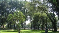 (dok. devieafriani.blogspot.com)