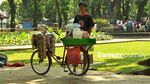Taman Suropati, Tempat Bersantai yang Penuh Seni