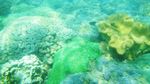 Tamiyang, Teluk yang Sangat Cantik di Kalimantan Selatan