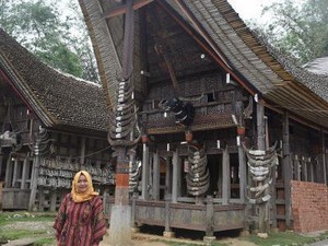 Tana Toraja, Beragamnya Sejarah dan Budaya Indonesia