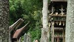 Tana Toraja, Perpaduan Lengkap Wisata Alam & Religi di Sulawesi