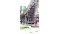 Rumah Adat Tongkonan (Gambar 2)