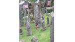 Tana Toraja, Tanah Para Leluhur yang Kaya Tradisi Dan Budaya