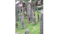 Situs Megalithikum Bori Kalimbuang, Toraja (Gambar 5)