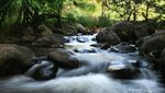 Tanah Gayo, Surga di Aceh
