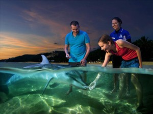 Tangalooma, Pulau Favorit Turis Indonesia di Australia