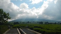 Pemandangan Kebun Teh dan Gunung Dempo yang diselimuti kabut