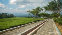 Tangga Seribu Pagaralam